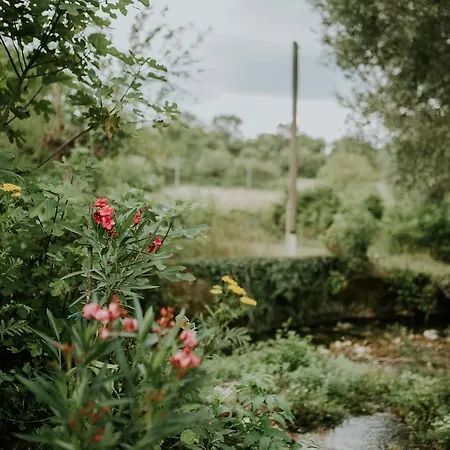 Country House On The Water Mill
